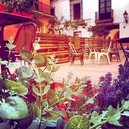Hostal Toc Sevilla