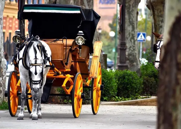 Toc Albergue Sevilha